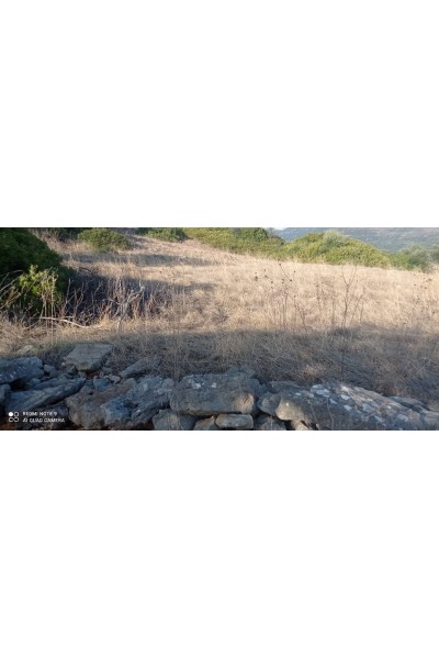 Οικόπεδο 860τ.μ. προς πώληση | Ναύπακτος, Ναύπακτος