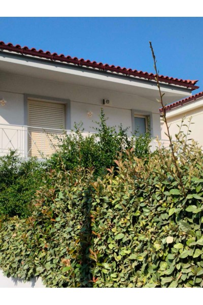 Βίλα 295τ.μ. προς πώληση | ΛΑΓΟΝΗΣΙ ΣΑΡΩΝΙΚΟΣ