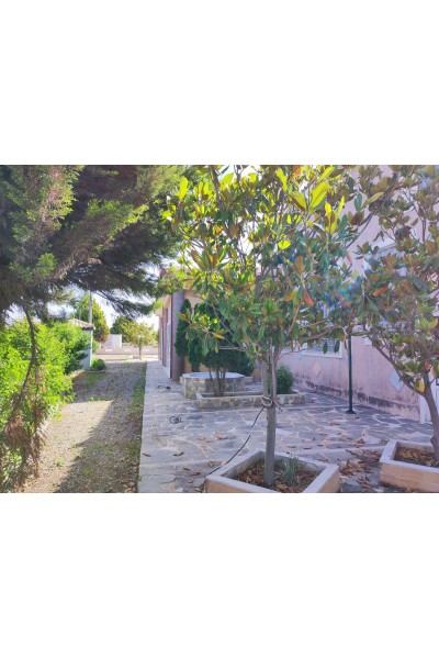 Κτίριο 800τ.μ. προς πώληση | Κύμη, Κύμη