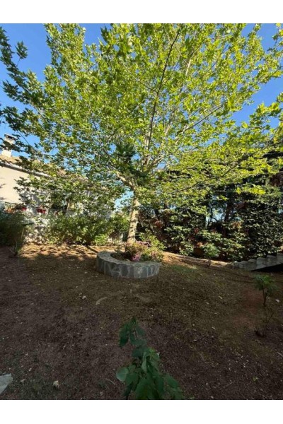 Παραλια Αυλιδος Μονοκατοικια Προς Πωληση