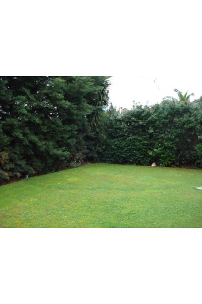 Μονοκατοικία επιφανείας 597m², σε οικόπεδο 647m²