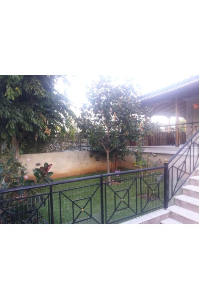 Μεζονέτα στα Σελήνια Σαλαμίνος