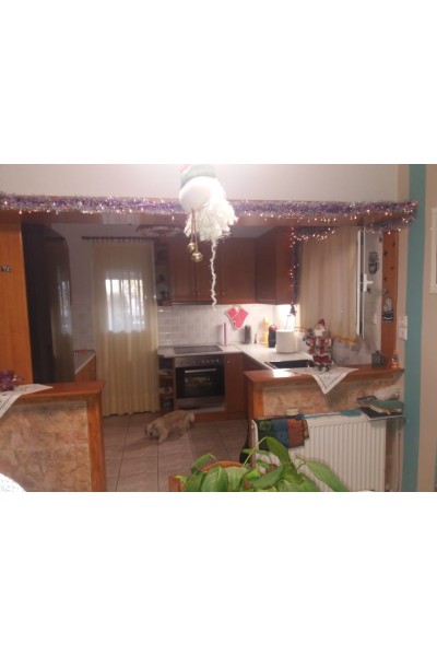 Μεζονέτα στα Σελήνια Σαλαμίνος