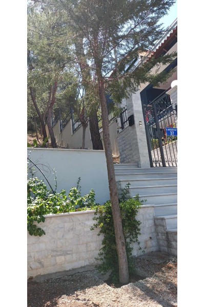 3όροφη Κατοικία στη θέση Ξένος - Σαλαμίνα 160m² 250.000