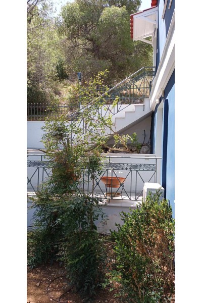 3όροφη Κατοικία στη θέση Ξένος - Σαλαμίνα 160m² 250.000