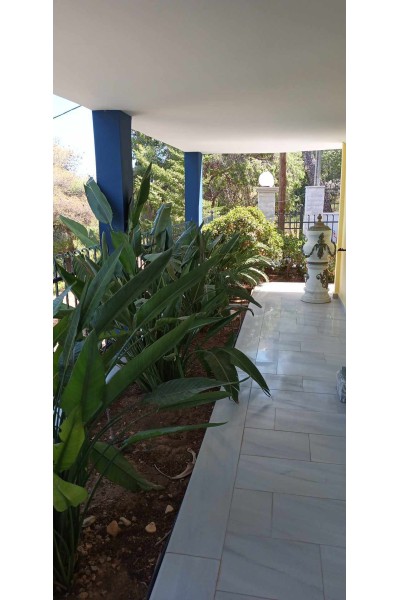 3όροφη Κατοικία στη θέση Ξένος - Σαλαμίνα 160m² 250.000